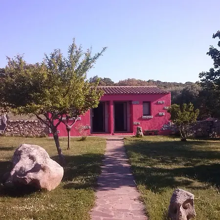 Alojamento de Turismo Rural Turismo Rurale L'agliuledda
